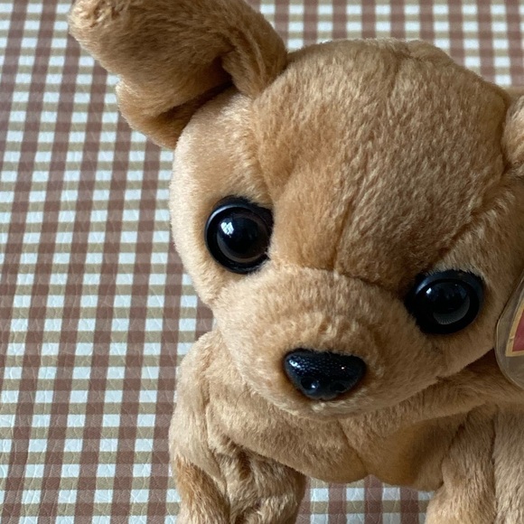 Ty Beanie babies 1999 Tiny Chihuahua - Picture 4 of 10